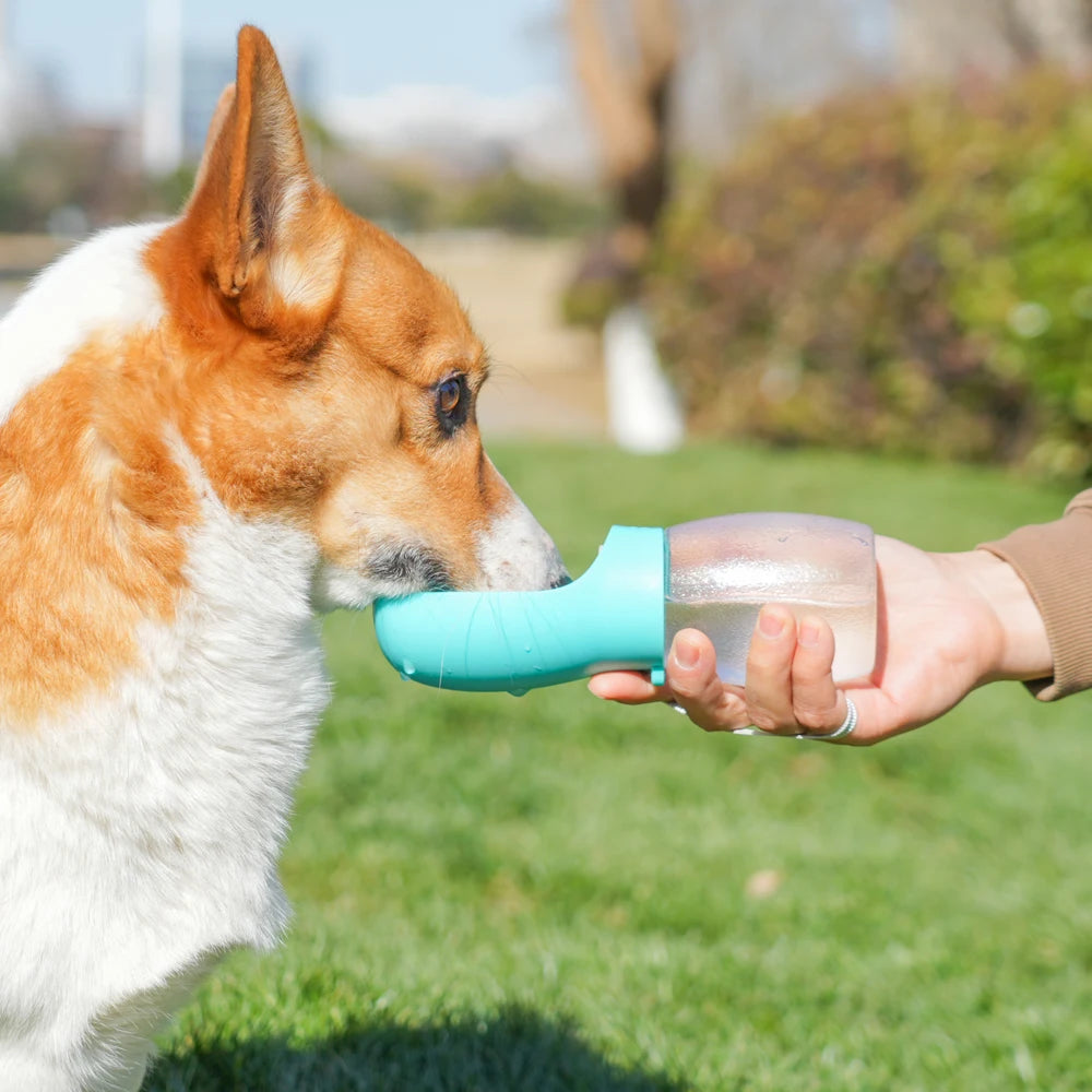 Botella de Agua Portátil para Mascotas — 300ml
