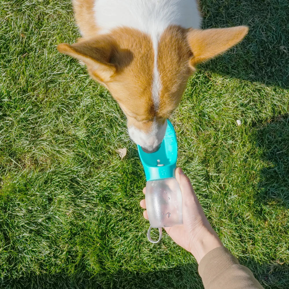 Botella de Agua Portátil para Mascotas — 300ml